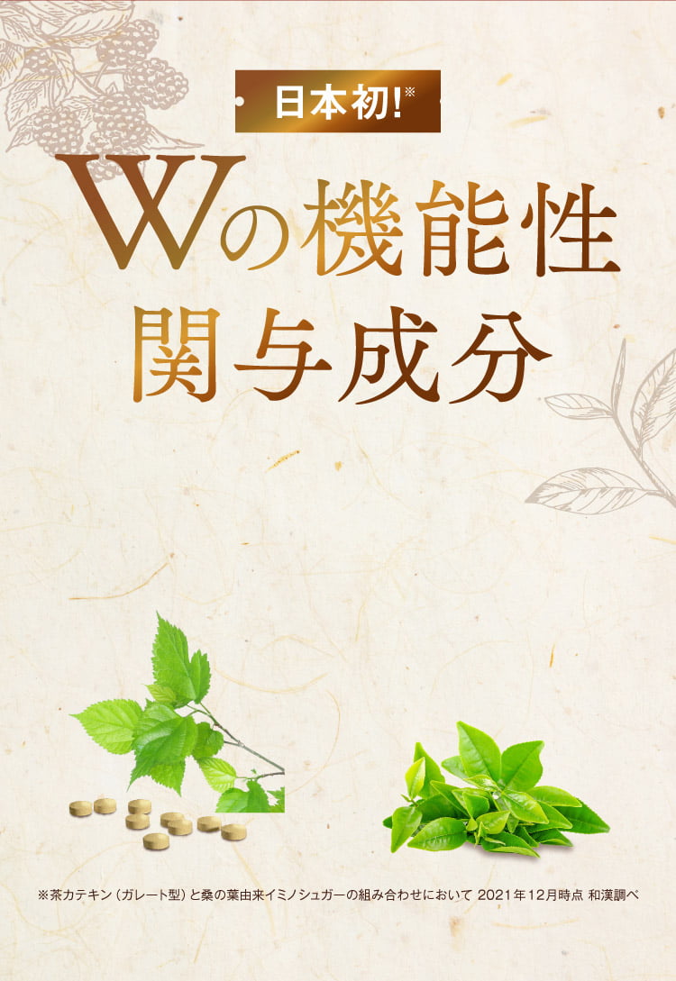 桑の葉＆茶カテキンの恵み