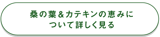 の恵みについて詳しく見る
