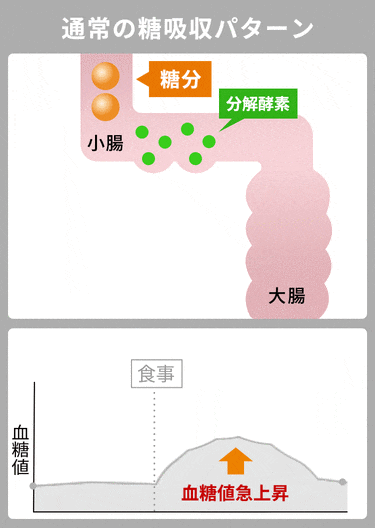 通常の糖吸収イメージ