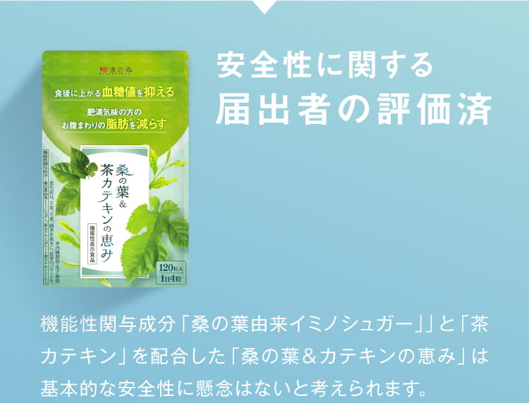 安全性に関する届出者の評価済