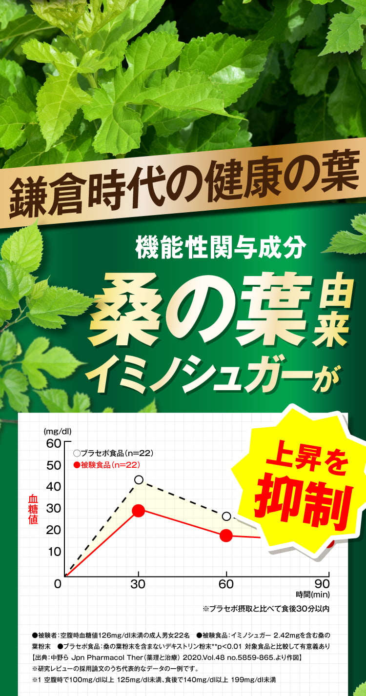 桑の葉由来イミノシュガー