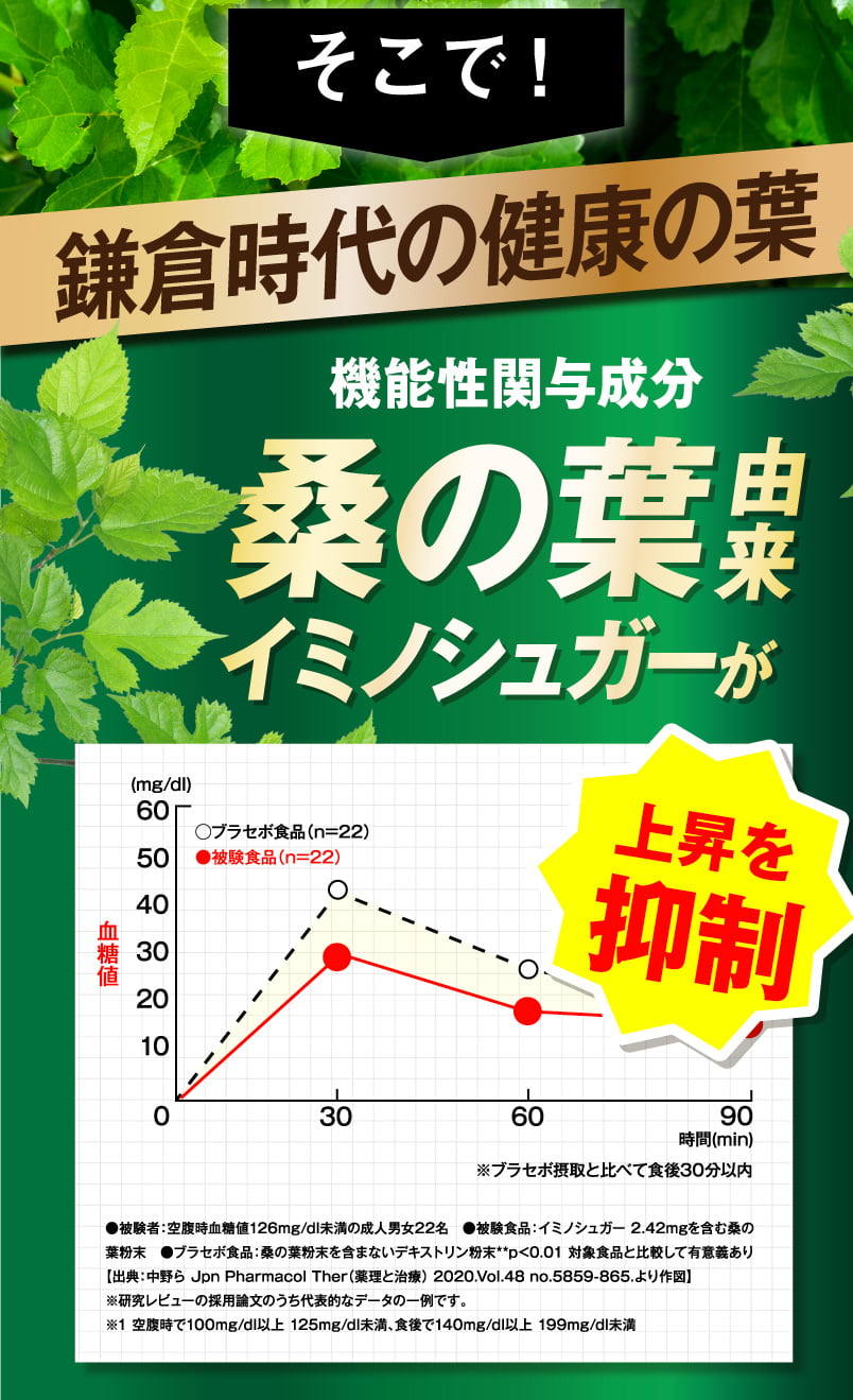 桑の葉由来イミノシュガー